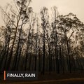 Relief as rain falls over Australian bushfires