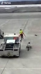 Danse endiablée d'un controleur aérien sur le tarmac de l'aéroport entre les avions !