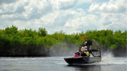 Florida Agrees To Purchase 20,000 Acres Of Everglades To Safeguard It From Oil Drilling