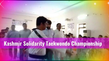 Taekwondo demonstration 2020