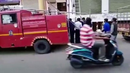 Fire fighters rescue pigeon ensnared by kite strings at festival in western India