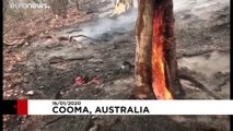 آتش‌سوزی استرالیا؛ بارش نجات بخش باران برای جنگل‌های شعله‌ور