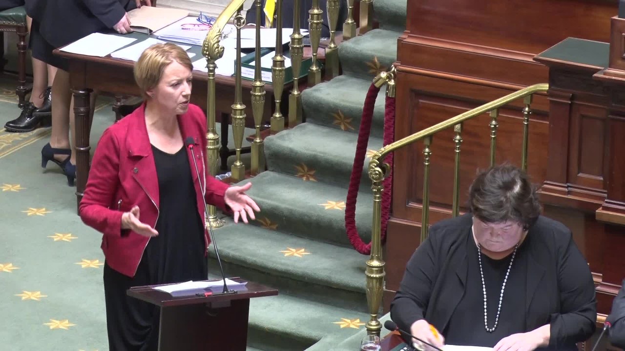 Suppression de maternités: Catherine Fonck (cdH)  intervient à la Chambre