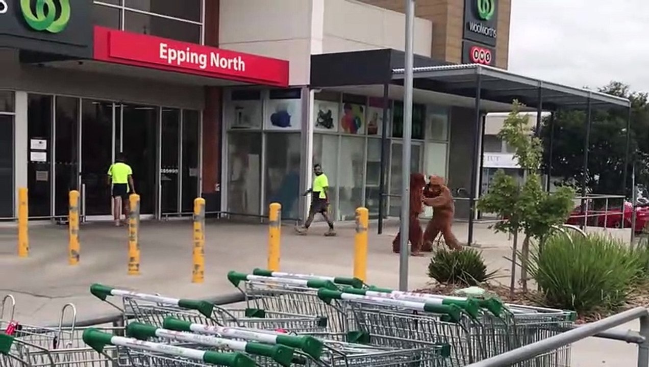 ABUSIVE BEAR PRANK