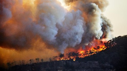 Help Australia's Wildfire Victims With Your Next Workout by Joining This Virtual Race