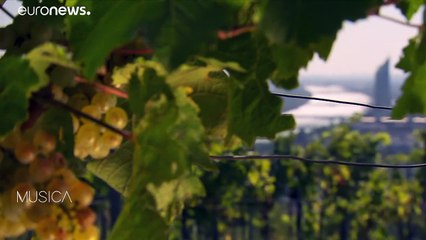 Le Philharmonique de Vienne, orchestre unique par excellence