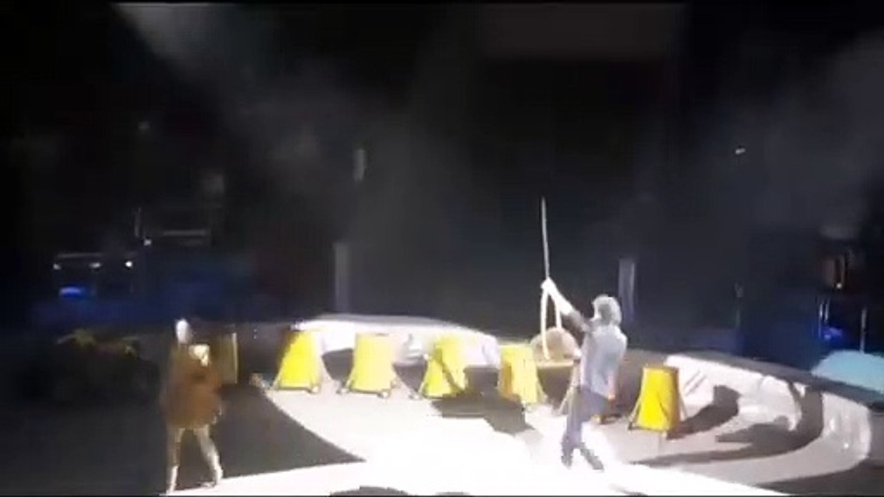 Ce castor réserve une vilaine surprise aux spectateurs d'un cirque !
