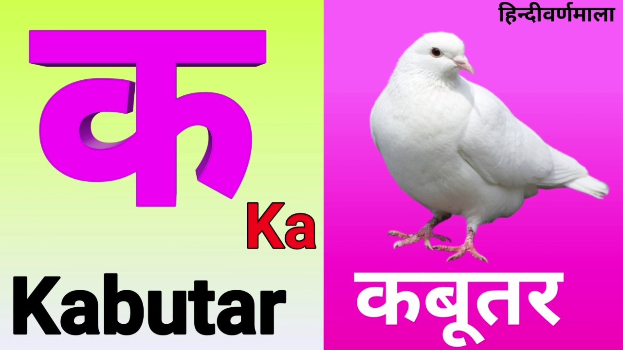 क से कबूतर, हिन्दीवर्णमाला, हिन्दीस्वर, कखग, अ अ आ इ,k se kabutar kha se khargosh, k se kabutar hindi varnamala, k se kabutar uda rahe, k se kabutar k k k, k se kabutar kha se khargosh song, k se kabutar rhymes, k se kabutar udta hai, k se kabutar