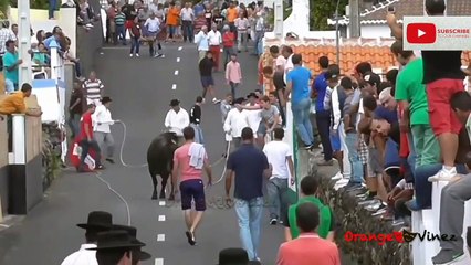 Bullfighting_ Bulls Most viewed  Toro - Matador _ Funny memes