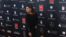 Desfile de estrellas en la alfombra roja de los Premios Feroz 2020