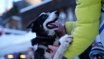 Les belles images de l’Etape 5 – Jeudi 16 janvier – Pralognan la Vanoise