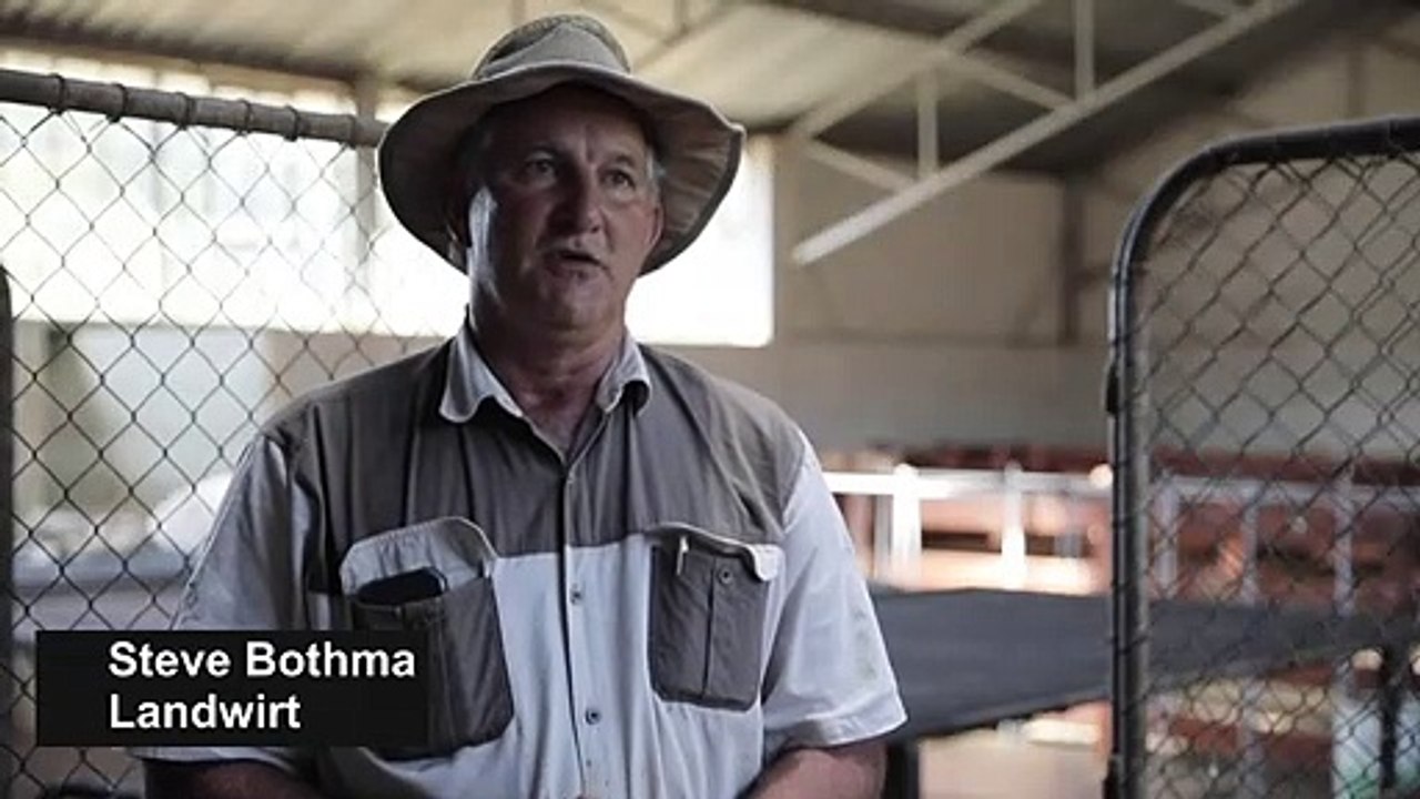 Fünf Jahre kein Regen: Für Südafrikas Bauern wird es eng