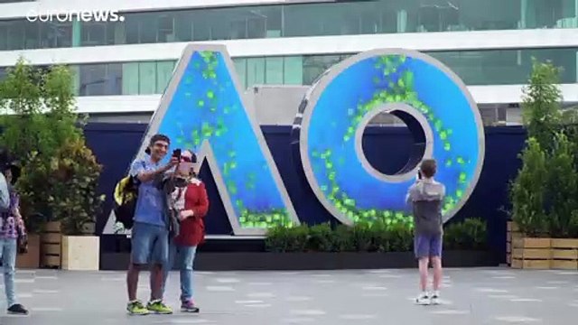 Коал теперь спасают от наводнений