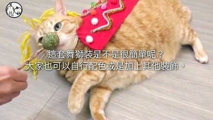 CollectionVideo-petmao_curation-copy4-PetsMaoParser-2020/01/17-09:30