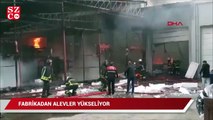 Samsun'da fabrika yangını