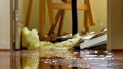 Water Damage Restoration Culver City CA