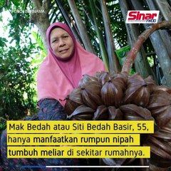 Mak Bedah manfaat pokok nipah tepi rumah, buat nira dan cuka