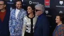 Desfile de estrellas en la alfombra roja de los Premios Feroz 2020