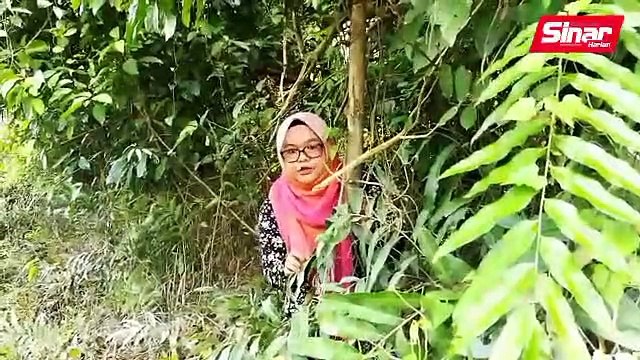 Tiger Platoon jalan kaki banteras penyeludupan