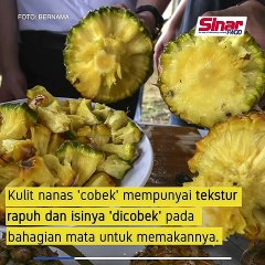 Nanas 'cobek' tak perlu kupas kulit!