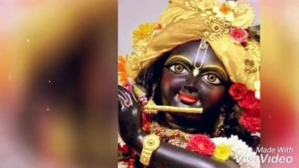 Apne hi rang me rang le