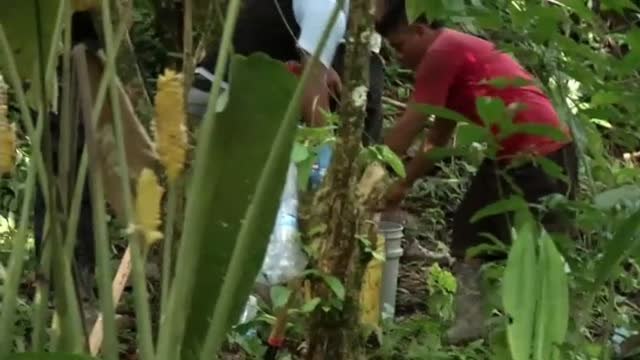 Una mujer embarazada y sus cinco hijos mueren en un ritual religioso en Panamá