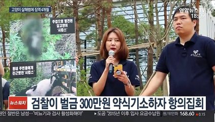 고양이 연쇄살해 50대에 징역 4개월…"생명존중 태도 없어"