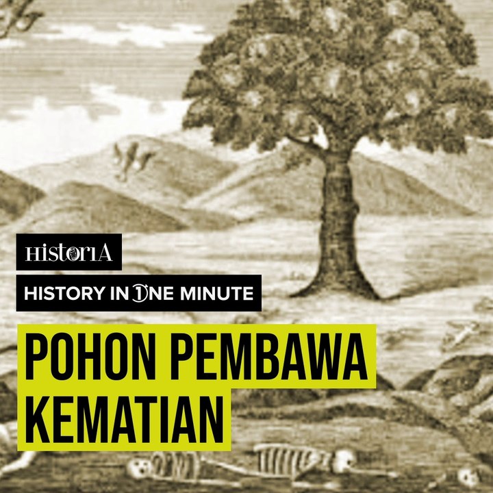 POHON PEMBAWA KEMATIAN