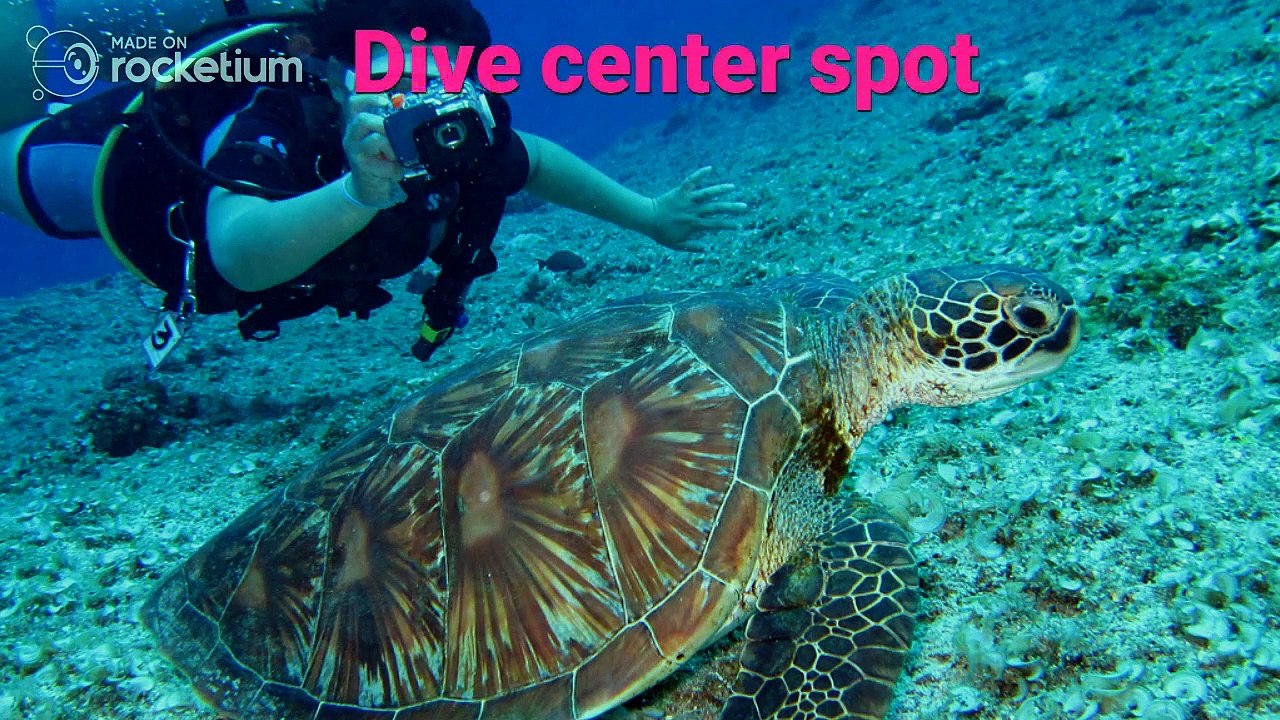 Things to Know Before You Choosing a Dive Center