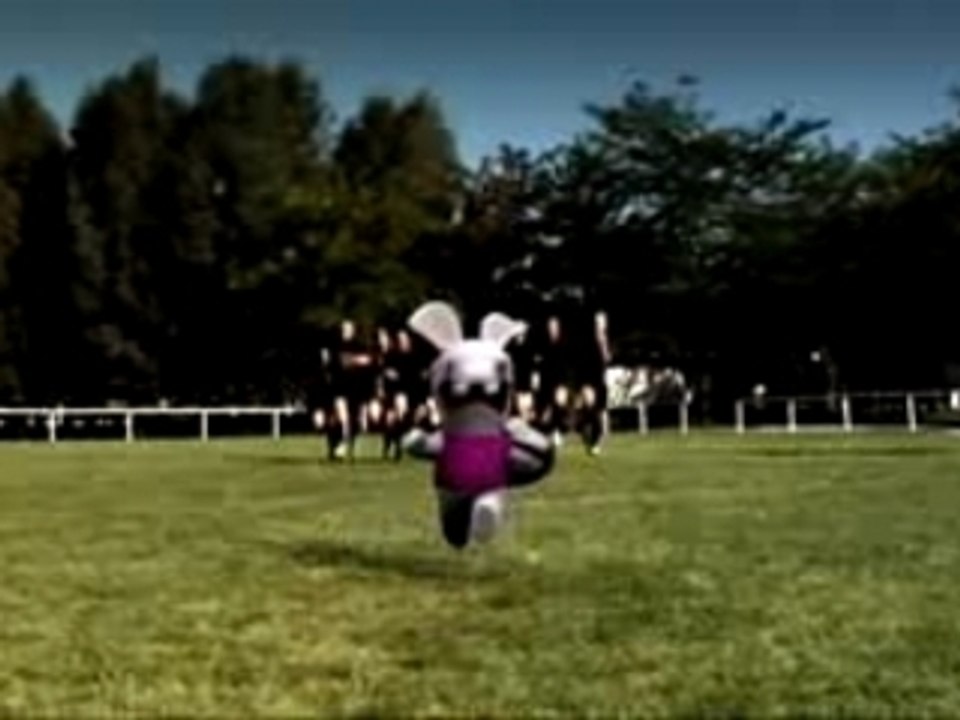 le haka des lapins cretins