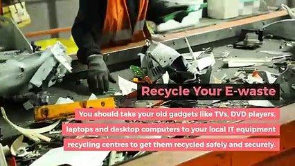 12 Easy Ways To Reduce The Negative Human Impact On The Environment