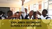 Explainer: Secondary school education fees