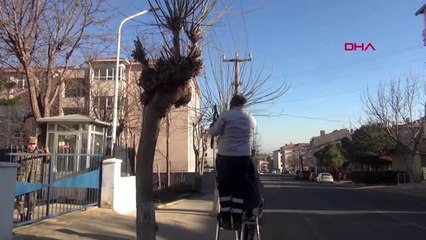 Tekirdağ'da budanan ağaç dalları, yakacak oldu