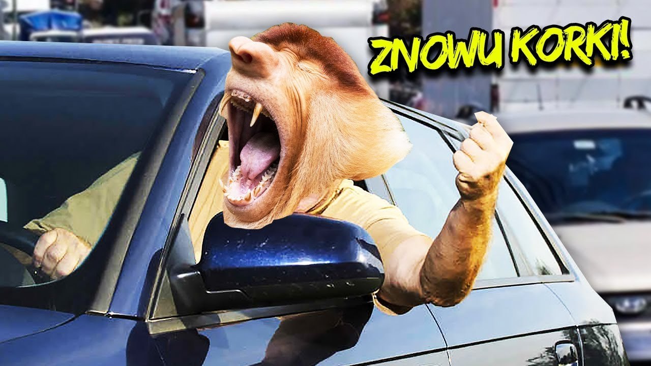 Skąd biorą się KORKI i jak ich uniknąć