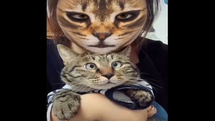 Baby Animals  Funny Cats and Dogs Videos Compilation