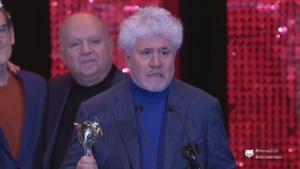 "Dolor y gloria" arrasa en los Premios Feroz