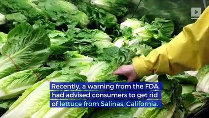 CDC and FDA Declare Lettuce Safe to Eat and E.Coli Outbreak Over