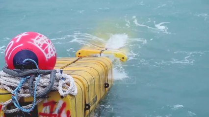 Gazsjellësi TAP, përfundojnë mbi 90% e punimeve