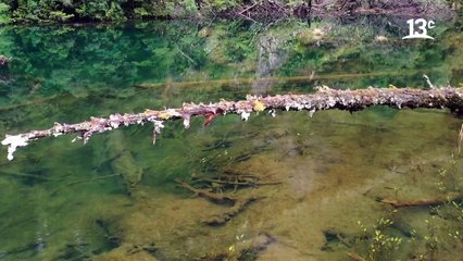 La reconocida Laguna Alerces del Parque Tagua Tagua _ Ruta 5