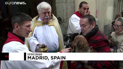 Evcil hayvanlara kilisede kutsama merasimi