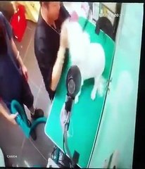 [Backup] 大埔翠怡花園C座地下4A鋪 御犬舍 虐狗