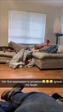 La réaction de ce chien est hilarante : mais que se passe-t-il donc ?