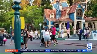 Viral Video Shows Fight at Disneyland
