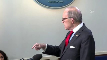 ABD Ulusal Ekonomik Konsey Direktörü Larry Kudlow