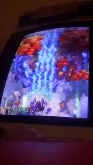 UNCOMFORTABLE SOLILOQUY FAST FORWARD INTO TRANSCENDENCY