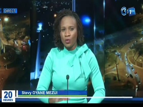 RTG - Audience du Premier ministre, Julien Nkoghe Bekalé avec une délégation de la BAD