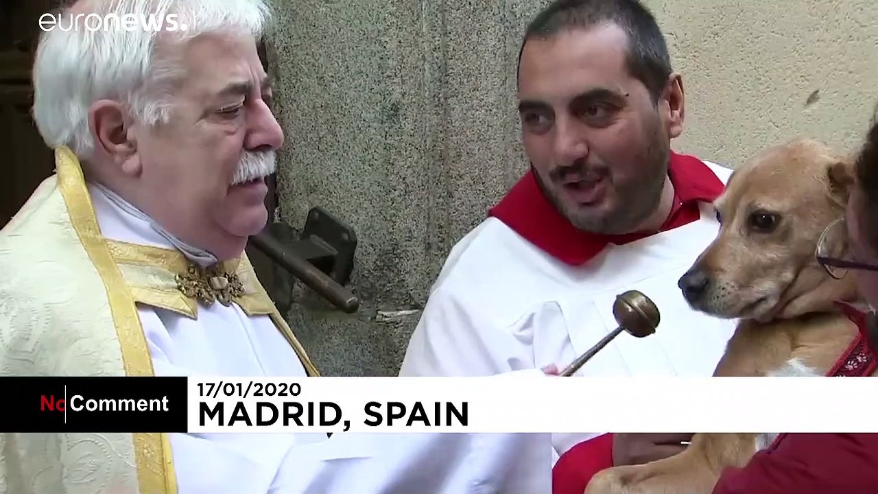 Segnung für Bello und Fifi