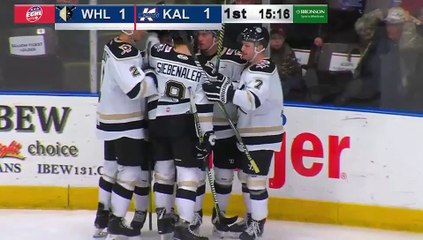 Game Recap - Wheeling Nailers at Kalamazoo Wings