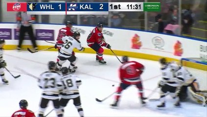 Game Recap - Wheeling Nailers at Kalamazoo Wings