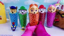 Paw Patrol Chocolate Candy Learn Colors Toy Surprise Eggs Dinosaur Finger Family Song Nursery Rhyme
